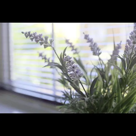 The Chic Haven Vakantiehuis *