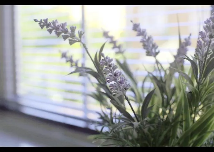 The Chic Haven Semesterbostad *